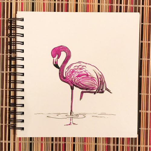 Flamingo Sketch